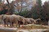 Blog-Thema-Tiere-Zoo-Dresden-2012-120108-DSC_0139.jpg