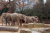 Blog-Thema-Tiere-Zoo-Dresden-2012-120108-DSC_0140.jpg