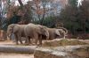 Blog-Thema-Tiere-Zoo-Dresden-2012-120108-DSC_0141.jpg